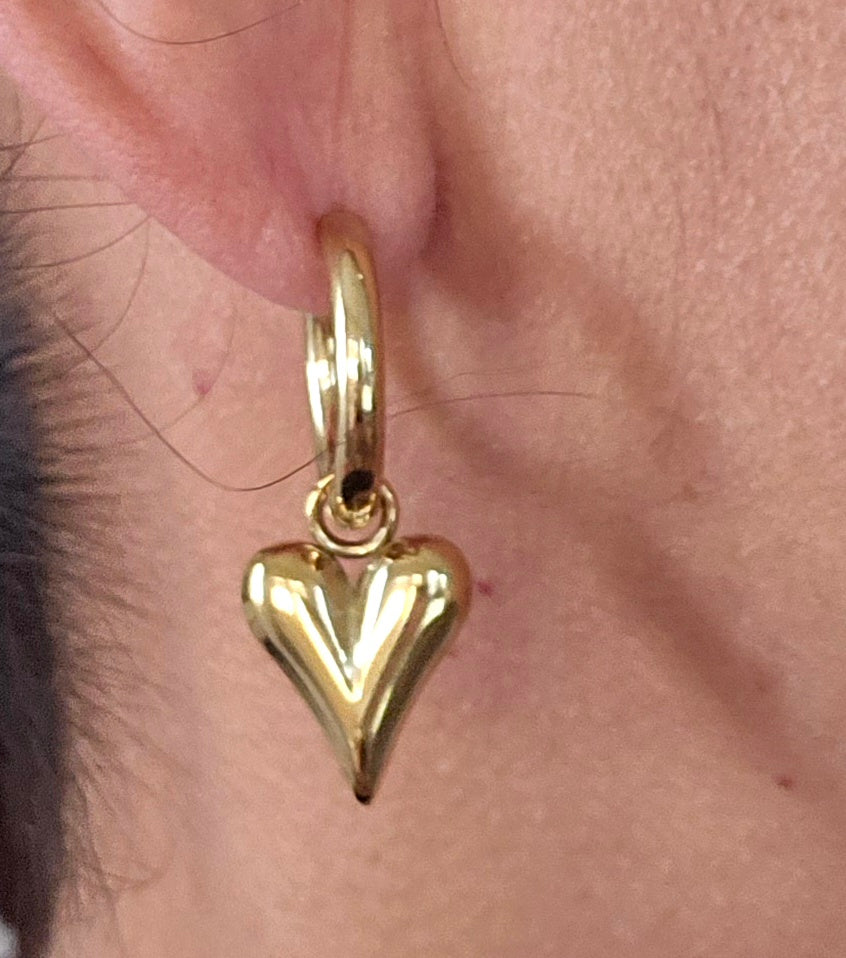 Heart Earrings